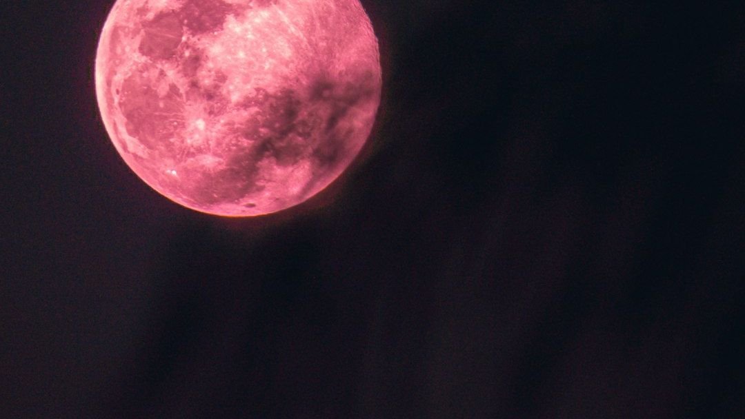 Why These 4 Zodiac Signs Will Experience a 'Life Reset' During the April Full Moon