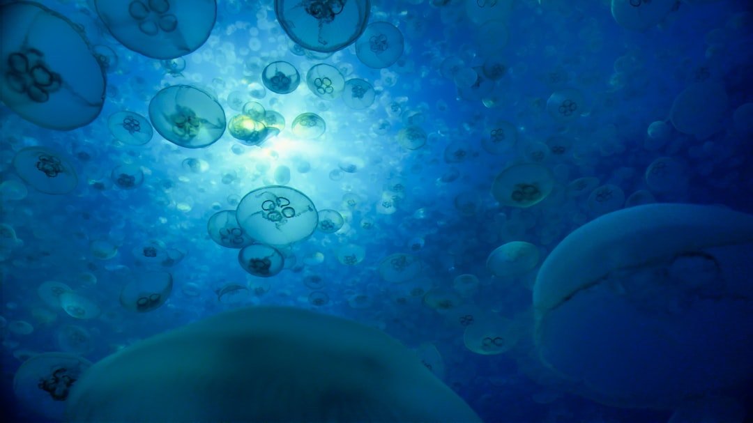 Thousands of mysterious underwater UFOs spotted off US shores: report